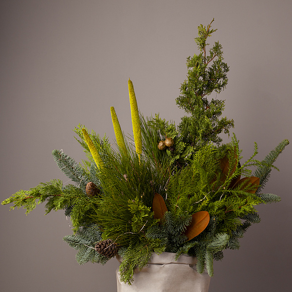 Купить Композиция «Вместо ёлки» (L) в  с бесплатной доставкой: цена, фото, описание